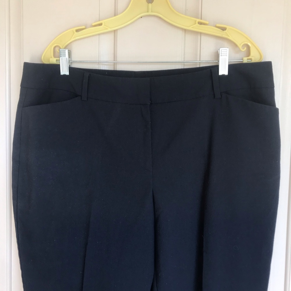 Ann Taylor Navy Blue Slacks